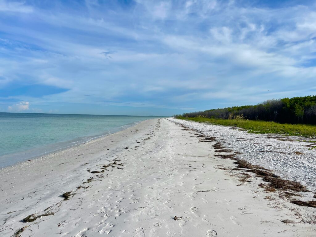 Honeymoon Island State Park, FL