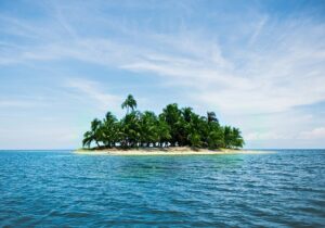  "Stunning underwater scene with colorful corals, clownfish, and clear blue waters in the Andaman Islands."